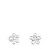 Silver flower Earrings Daisy